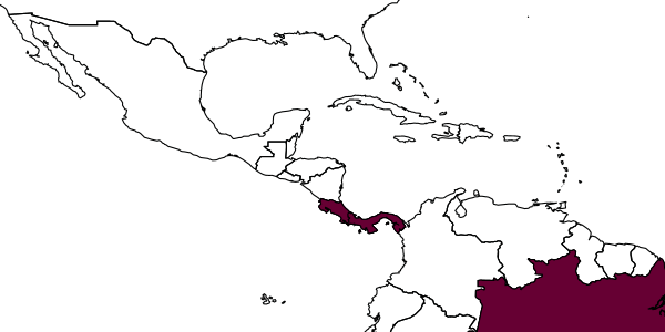 map of Enicospilus vegai     Gauld, 1988